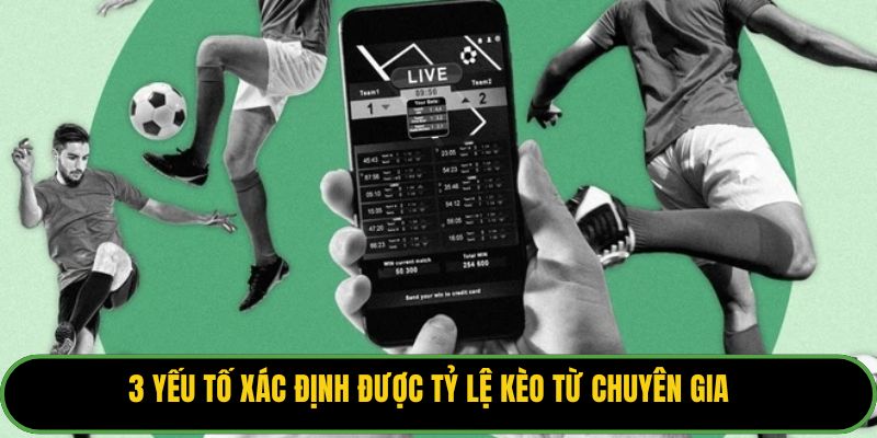 3 yếu tố xác định được tỷ lệ kèo từ chuyên gia