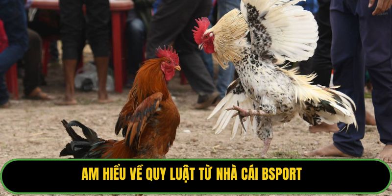 Am hiểu về quy luật từ nhà cái Bsport