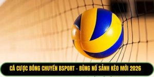 Cá Cược Bóng Chuyền