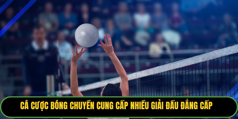 Cá cược bóng chuyền cung cấp nhiều giải đấu đẳng cấp