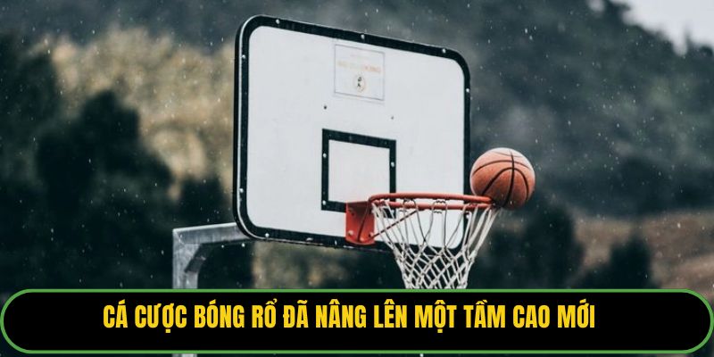 Cá cược bóng rổ đã nâng lên một tầm cao mới