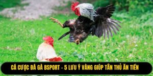 Cá Cược Đá Gà
