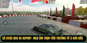 Cá Cược Đua Xe