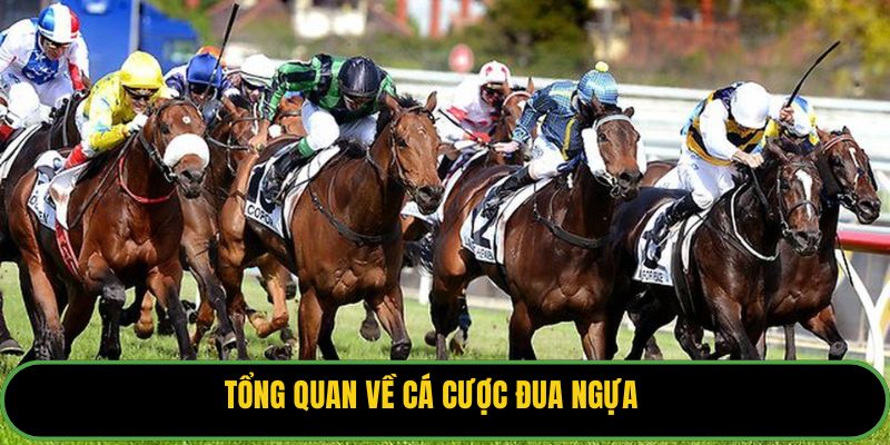 Tổng quan về cá cược đua ngựa