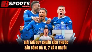 Kích Thước Sân Bóng Đá