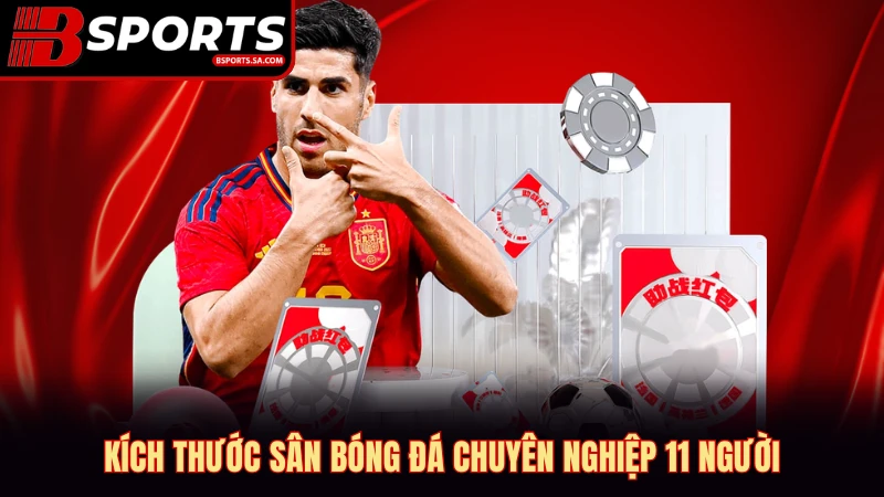 Kích thước sân bóng đá chuyên nghiệp 11 người.