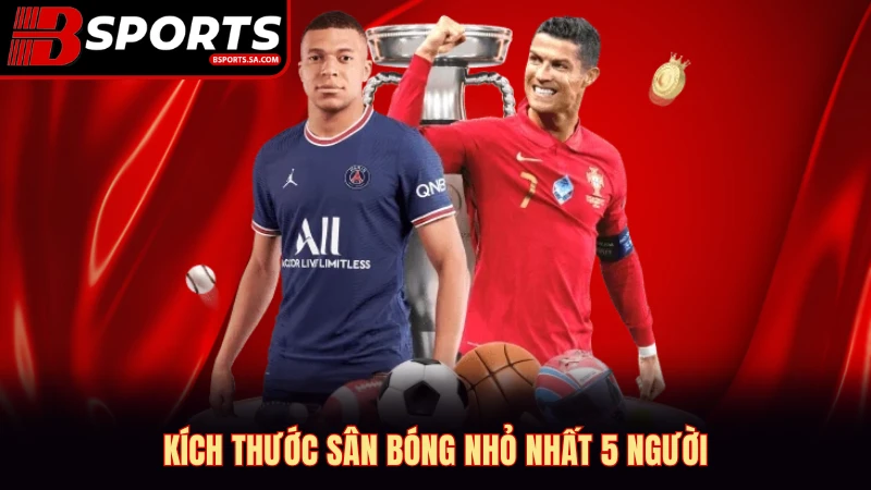 Kích thước sân bóng nhỏ nhất 5 người.